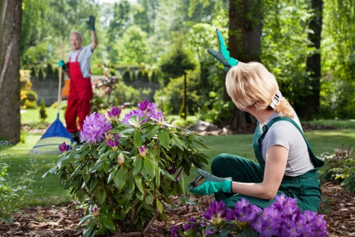 Professional hedge trimming service in Chislehurst garden