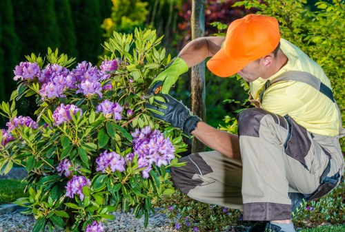 Eco-friendly lawn mowing practices in Chislehurst