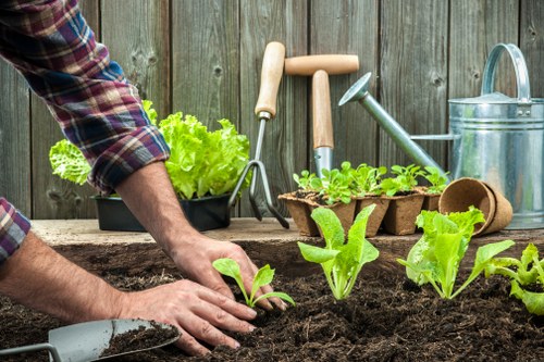Choosing the right lawn mowing service in Chislehurst