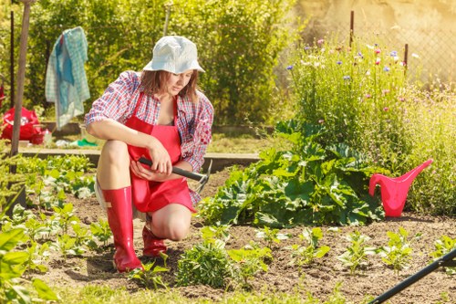 Comprehensive gardening services offered by Hedge Trimming Chislehurst