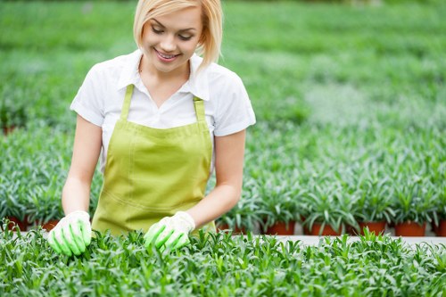 Expert landscaper mowing lawn in Chislehurst