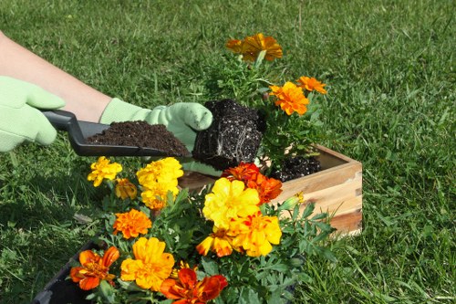 Eco-friendly garden clearance practices in Chislehurst