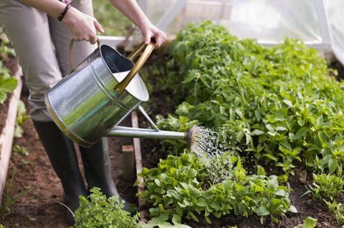Gardener maintaining a lush garden