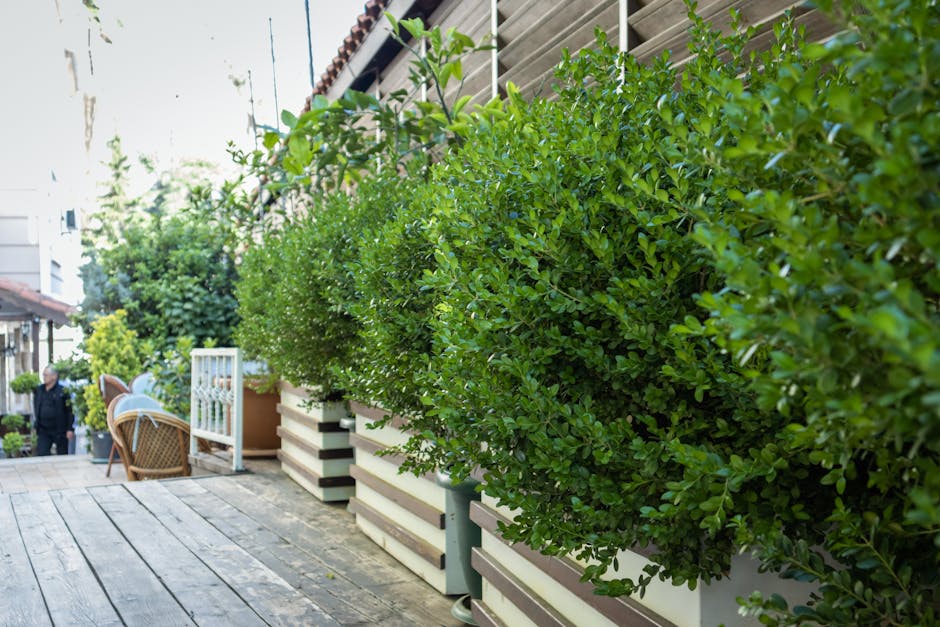 A narrow garden pathway made of weathered stone slabs extends through a lush, mature garden with dense foliage and trees. On the left, a grassy lawn bordered by a hedge and various plants, including f