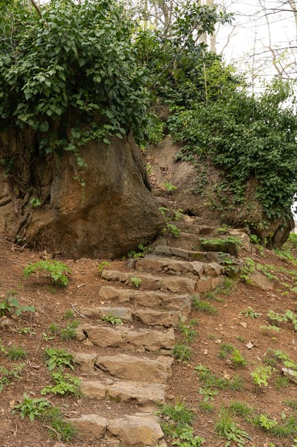 A narrow, natural pathway in a woodland setting, flanked by moss-covered rocks and towering trees with textured bark. The ground is covered in a mix of dirt, fallen leaves, and small stones, leading i