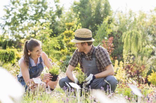 A man and a woman are kneeling in a well-maintained garden bed, engaged in planting or tending to small flowering plants and herbs. The garden features a lush, green lawn in the foreground, with vibrant flower borders containing a variety of colourful blooms and foliage. In the background, there are tall trees with dense, leafy canopies, and a mix of shrubs and flowering bushes, creating a natural and inviting outdoor space typical of a landscaped garden in Chislehurst. Both individuals are dressed casually for gardening, wearing gloves and aprons, and appear to be working together in a bright, sunny environment, emphasizing outdoor gardening and landscape maintenance services in the area. The scene conveys a peaceful and productive moment of outdoor gardening, with natural lighting highlighting the fresh greenery and colourful plantings, suitable for a gardening service website focused on hedge trimming and garden care in the local Kent area.